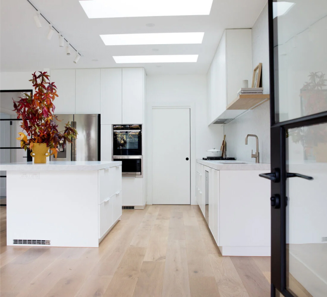 Modern white kitchen with skylights and plants